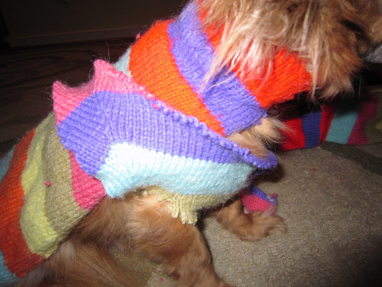 McGalver Make a Dog Sweater from an Old Human Sweater