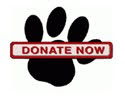 Help 4 Paws Expand