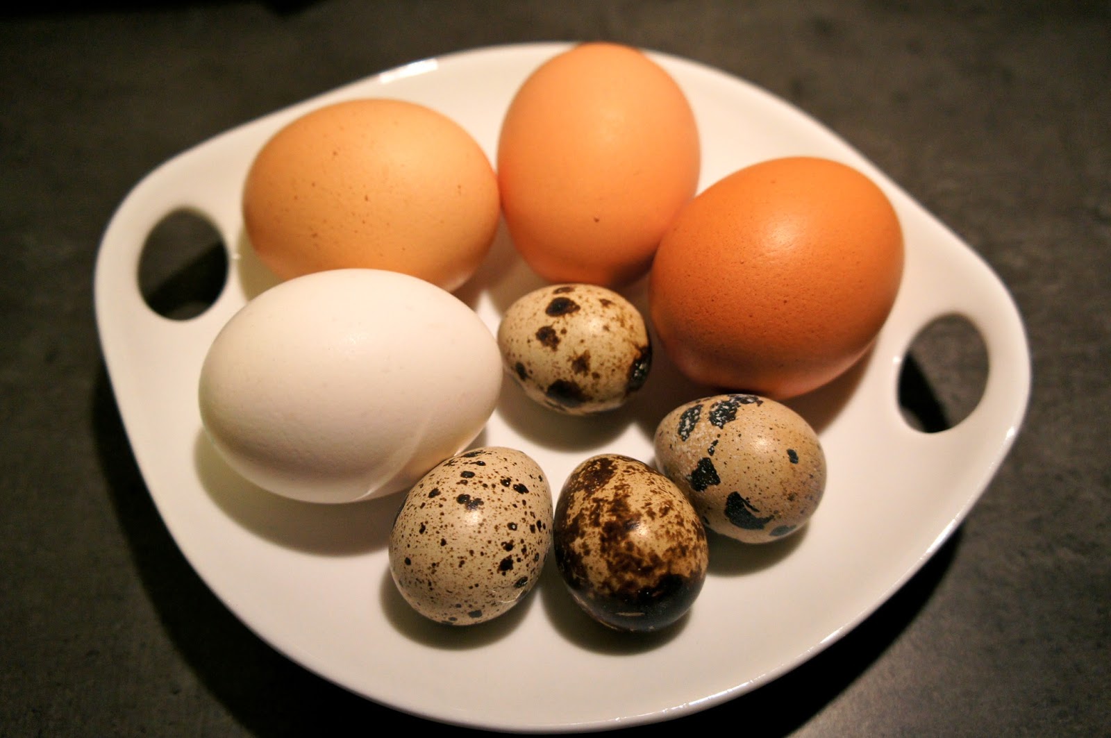 L’oeuf dans l’alimentation du chien | Baikasblog