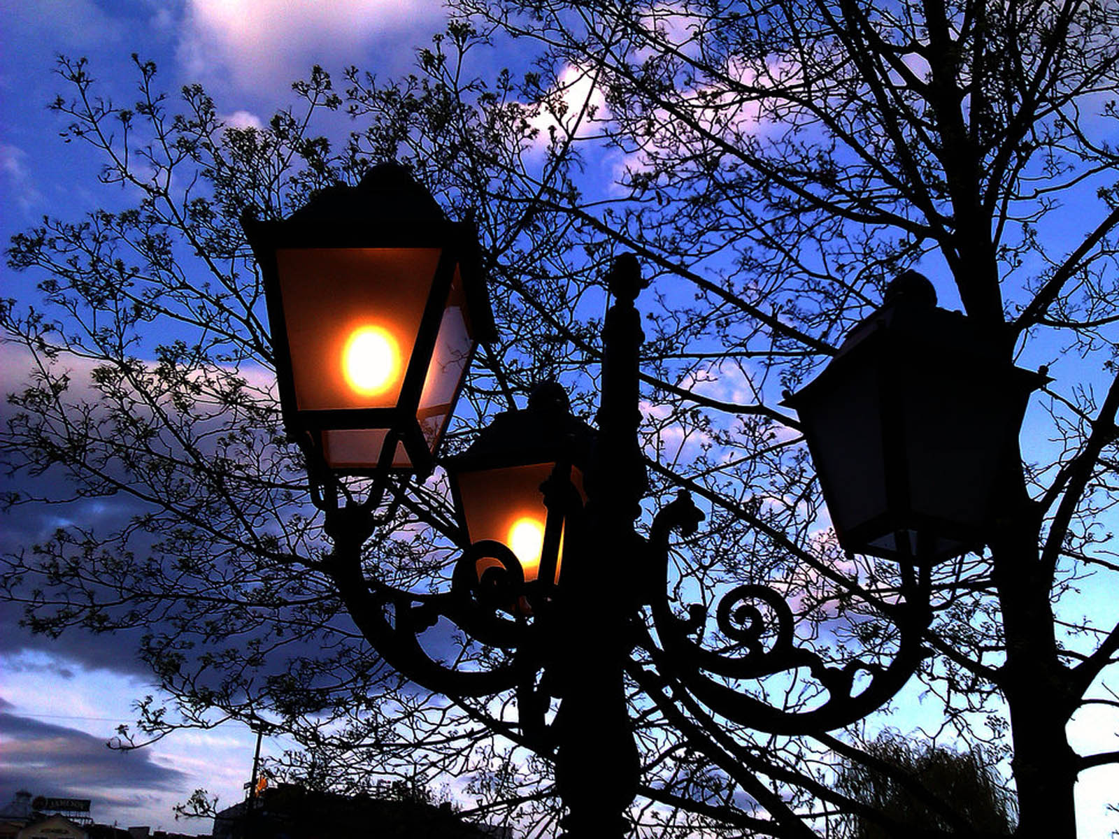 wallpapers: Street Lamps