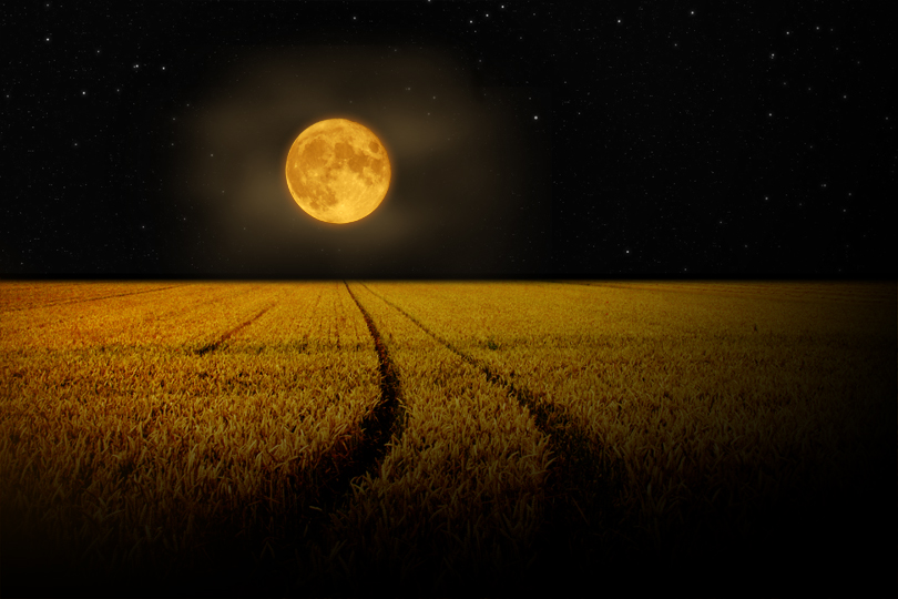 Wiccan Moonsong: Lughnasadh and Tonight's Full Corn Moon