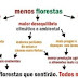 Relações entre florestas e você