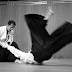 Danish bus drivers get martial arts classes