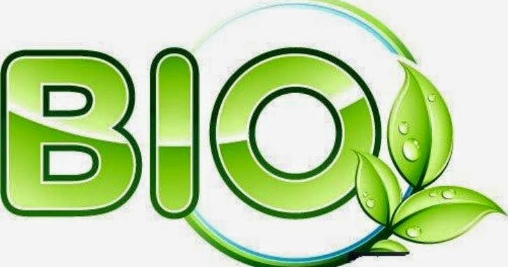 Posisi Wuenak 662 Contoh Judul Skripsi Pendidikan Biologi Dan Biologi Murni Posisi Wuenak 662 Contoh Judul Skripsi Pendidikan Biologi Dan Biologi Murni