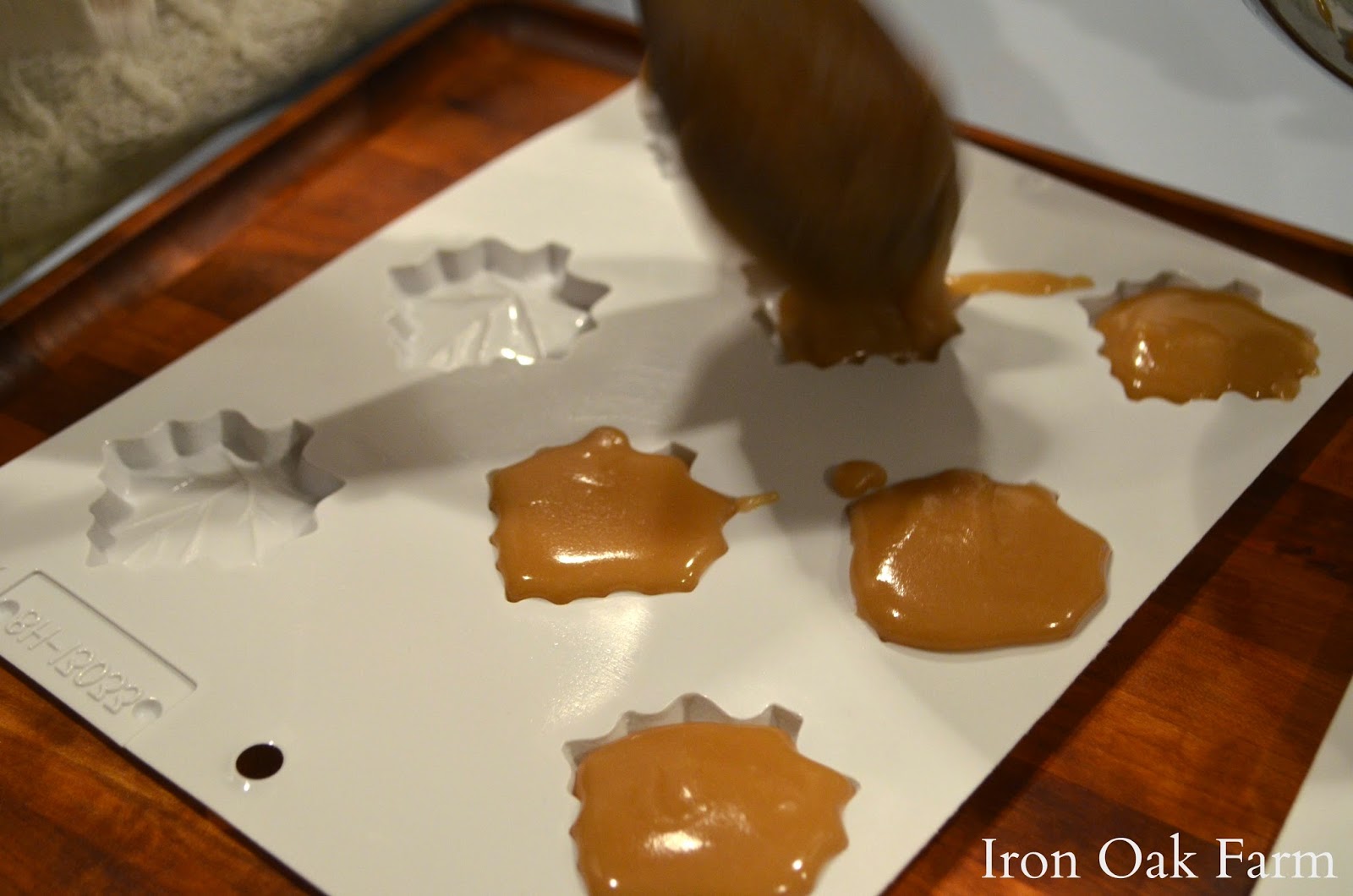 Iron Oak Farm Maple Sugar Candies