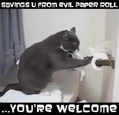 cat saving humin from evil toilet paper