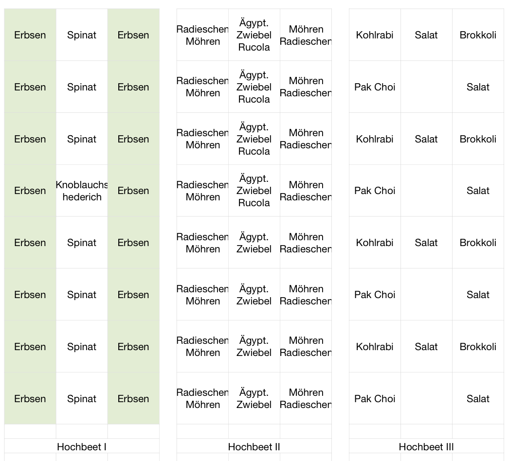 Mein grünes Projekt Neue Hochbeete mein Pflanzplan für den Frühling