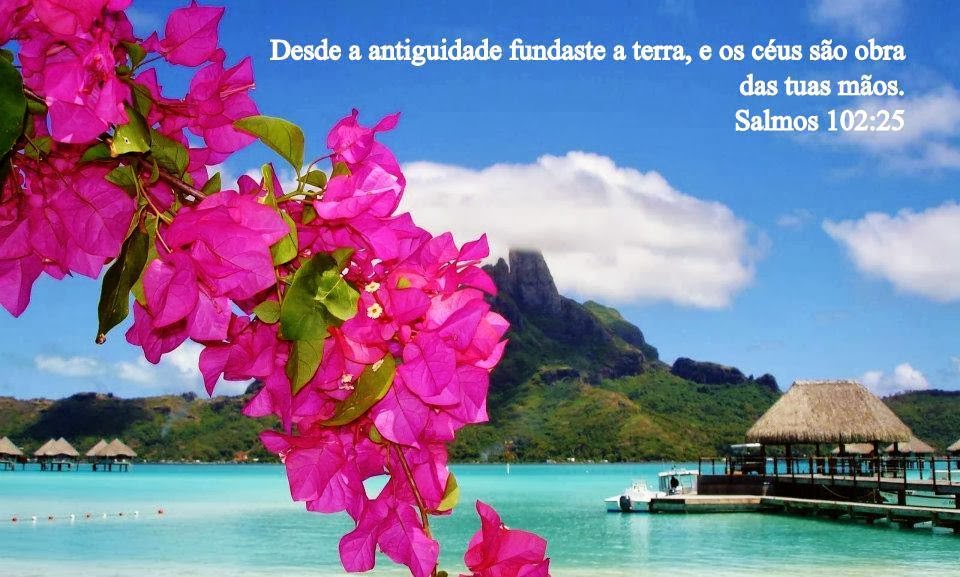 http://2.bp.blogspot.com/--nN6FVqDMSQ/UoiJyz9bzwI/AAAAAAAAVPQ/qWbe5330e9c/s1600/915.jpg