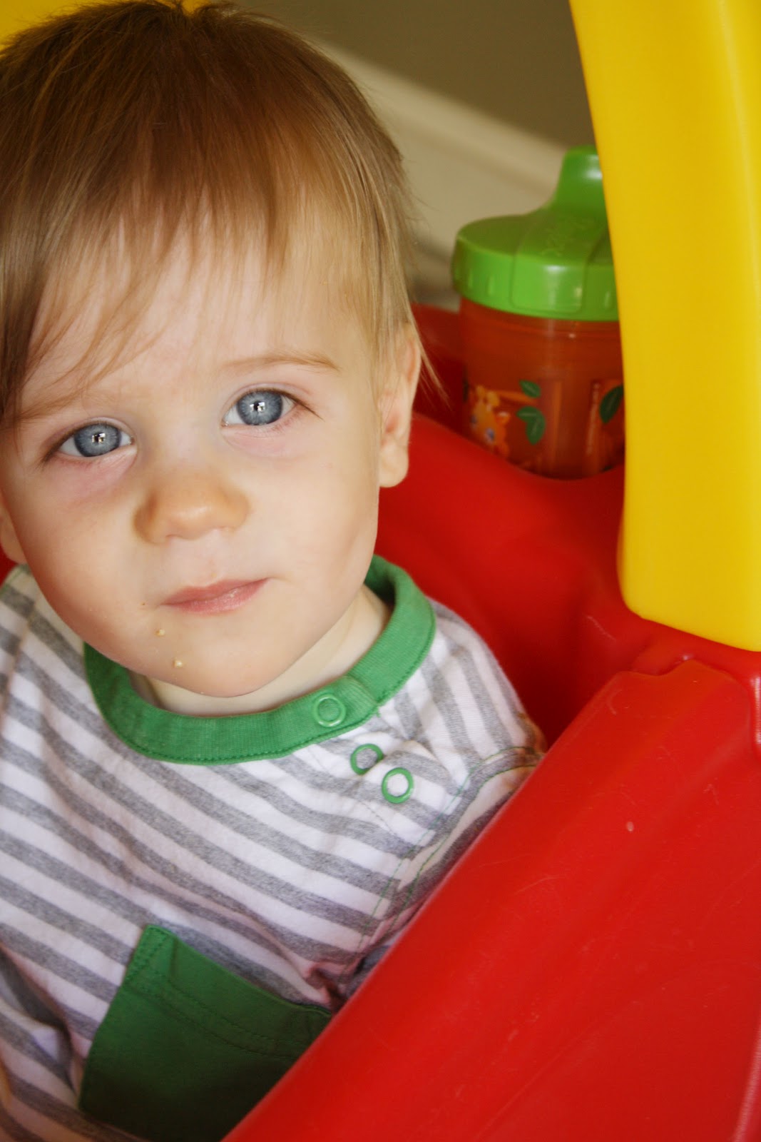 our one year old