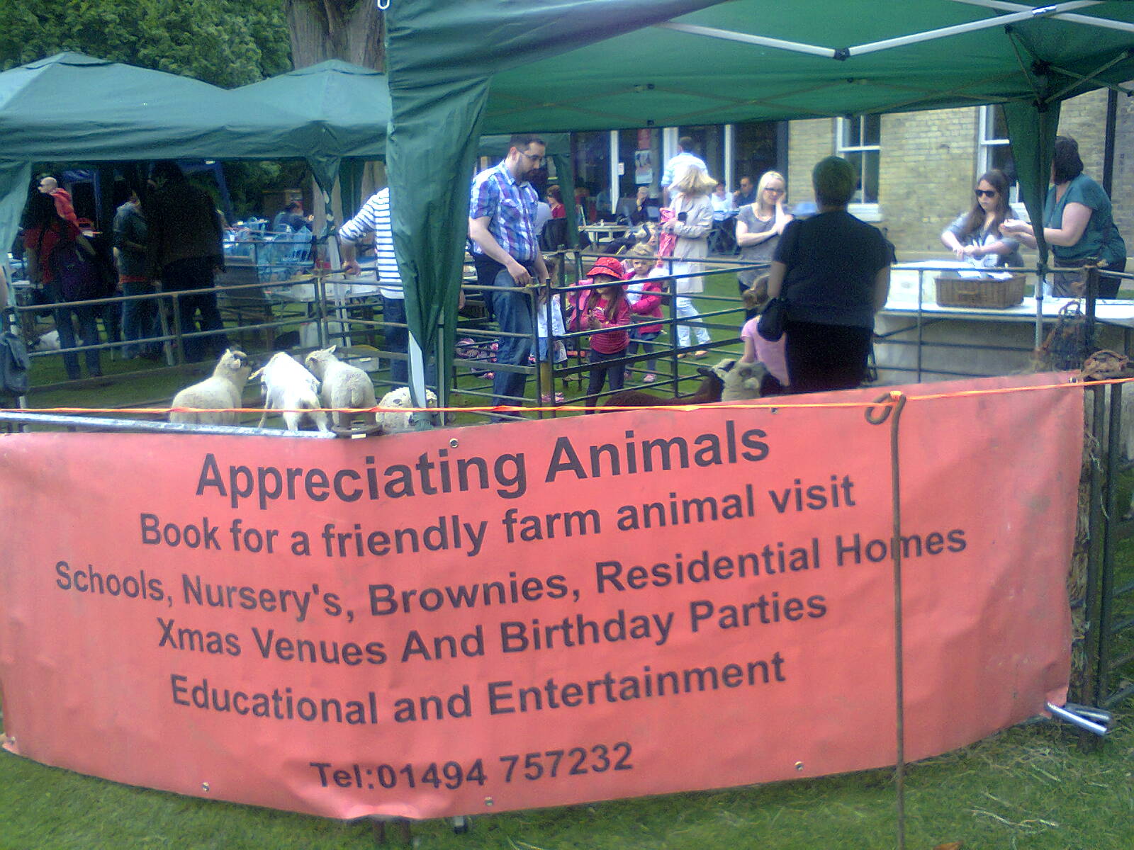 Pinner Blogger Daisy's and animals all over Pinner Memorial Park