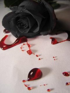 Mi Mundo Alterno Rosas Negras Si eres amante del color negro, estos fondos de pantalla oscuros o fondos de pantalla black te van a encantar y son geniales para decorar la pantalla de tu creamos la mejor coleccion de fondos de pantalla para chicas, las mejores imagenes en tonos rosas, morados y otros colores femeninos que. mi mundo alterno blogger