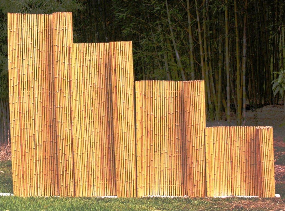 Desain Pagar Bambu Unik Cantik Minimalis Sederhana Desain Pagar Bambu Unik Cantik Minimalis Sederhana