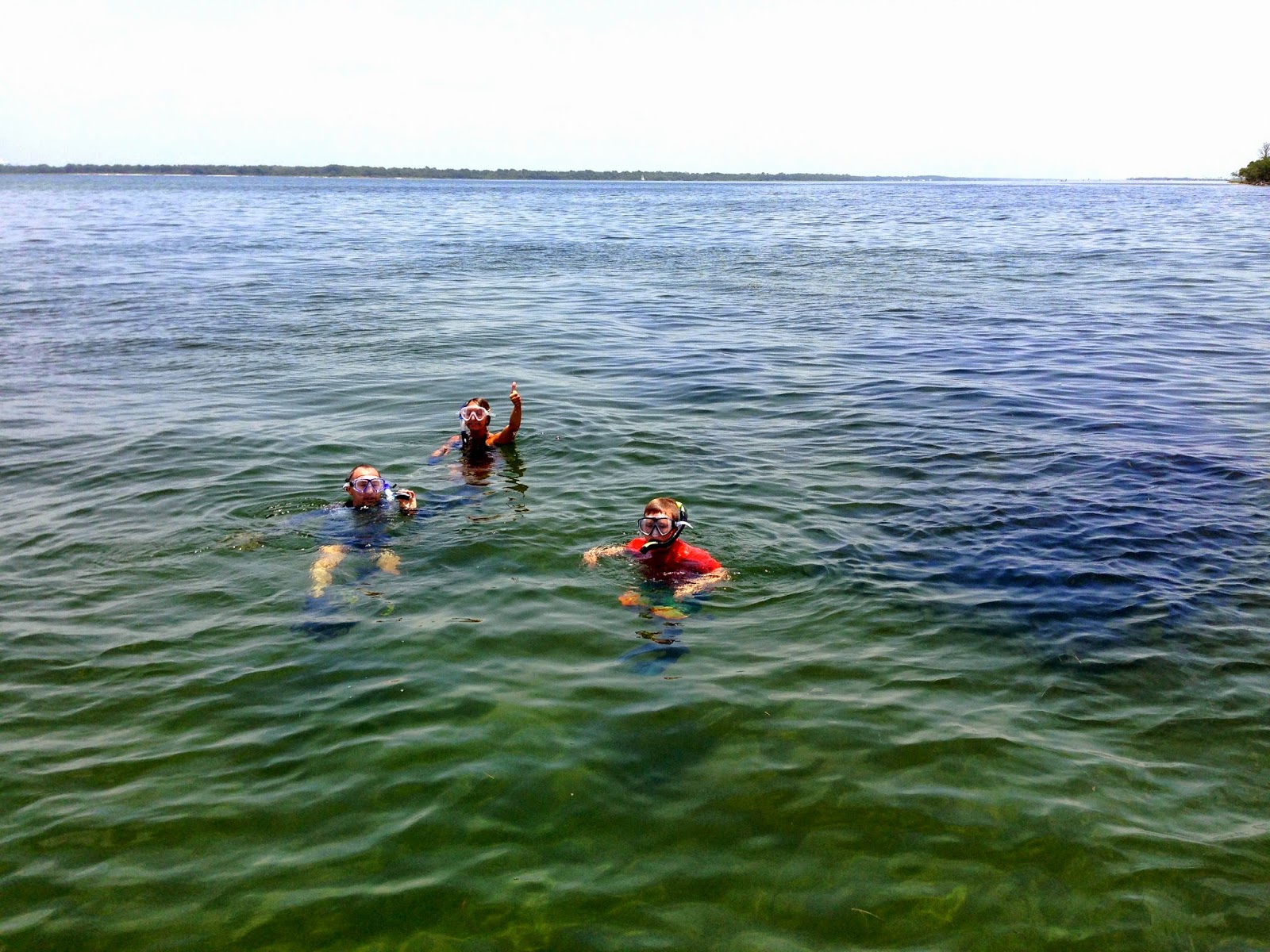 Snorkeling at a shipwreck near shell island Shell Island snorkeling