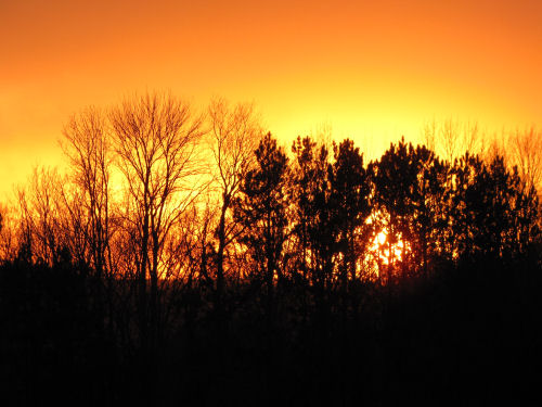 orange sunset