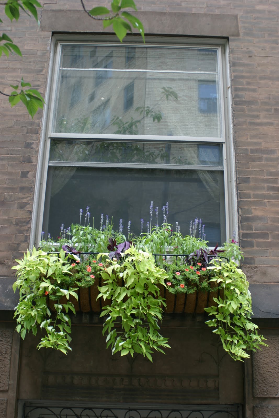 Julie's Journeys Philadelphia Window Flower Boxes