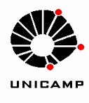 Unicamp