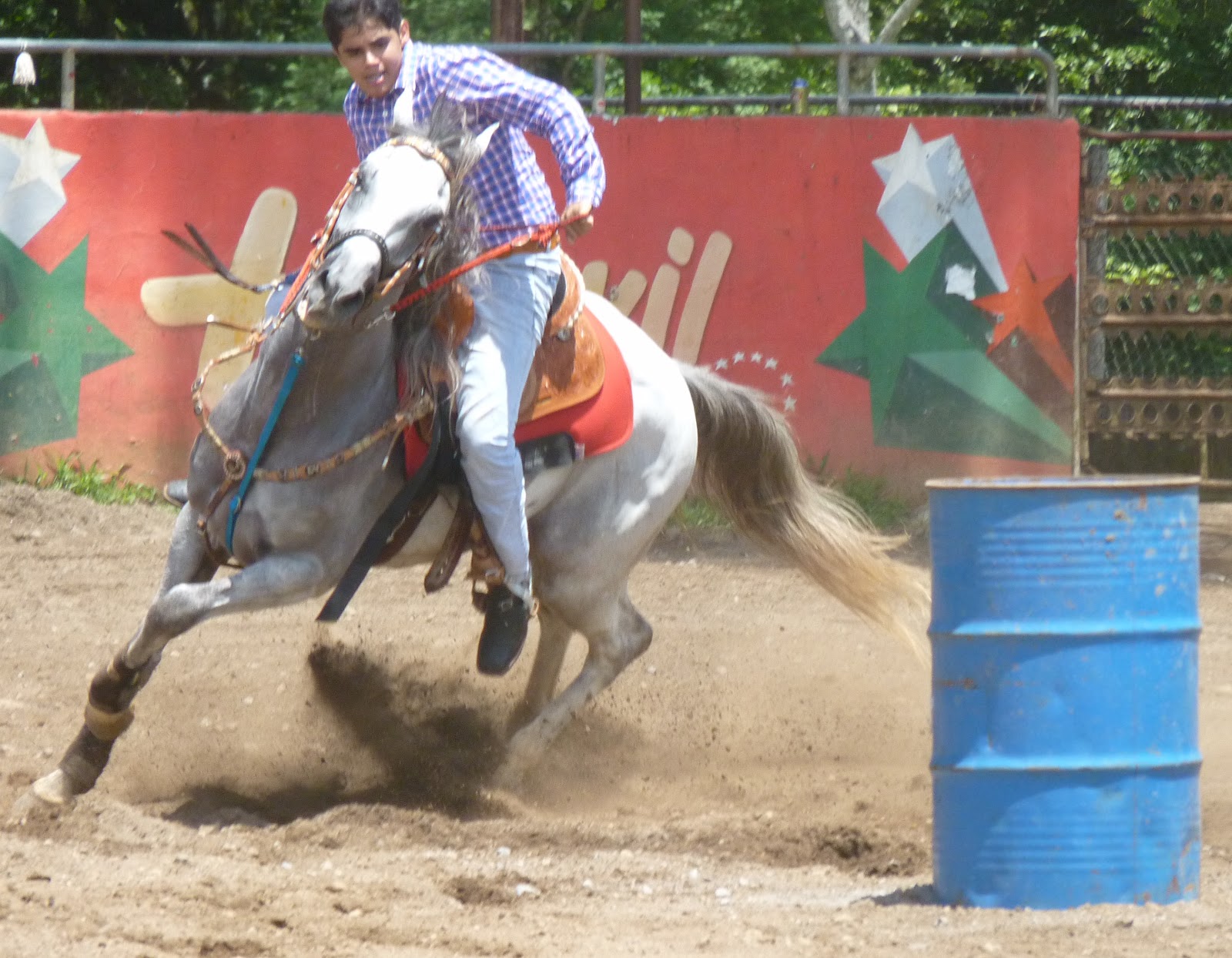 Horse Talk Panama Carreras de Barriles la Competencia Panamá•Barrel
