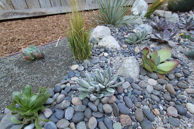 mid-century modern landscape design