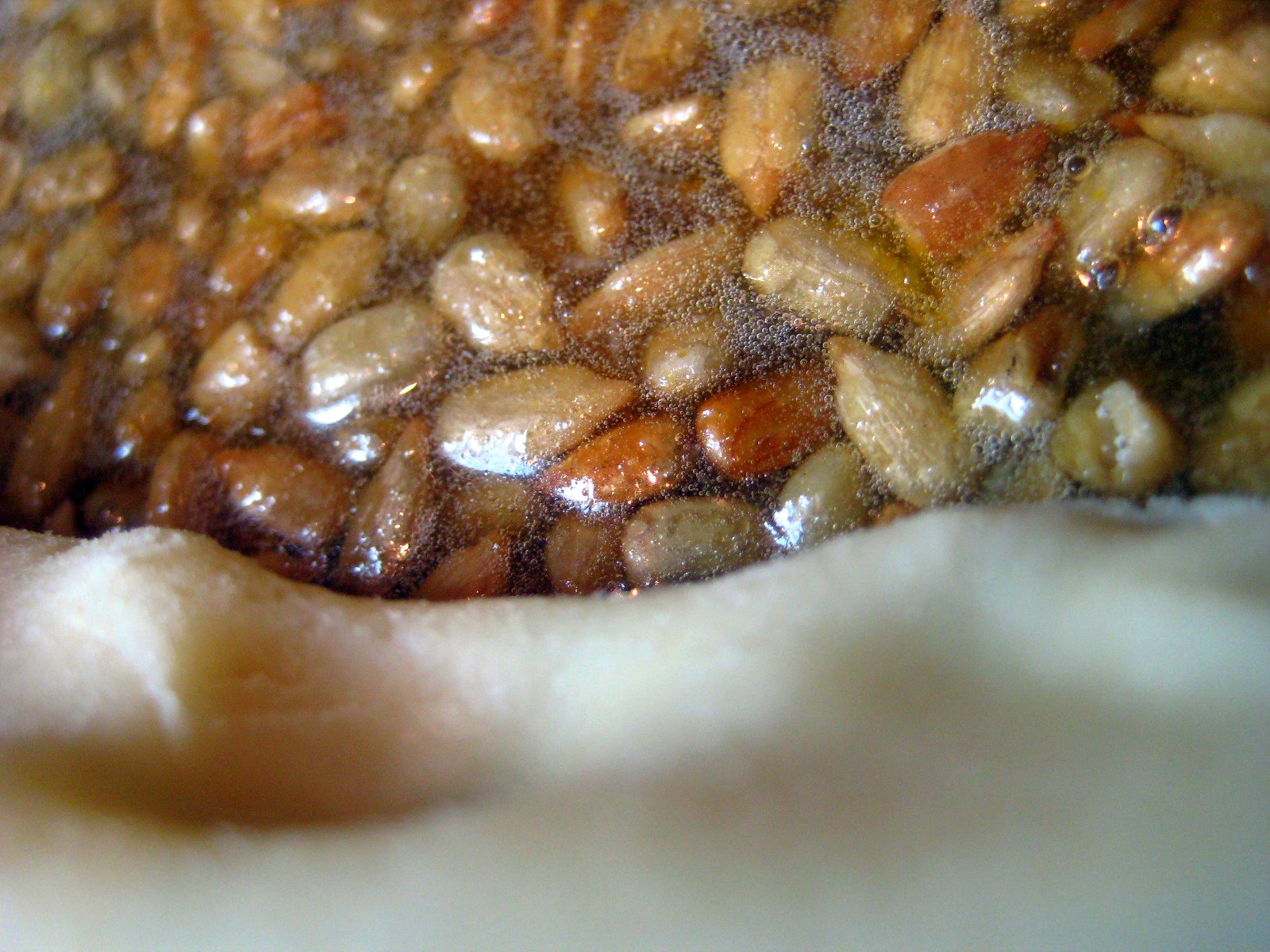 MISTY'S MORNINGS Sunflower Seed Caramel Pie {nutfree pecan pie}