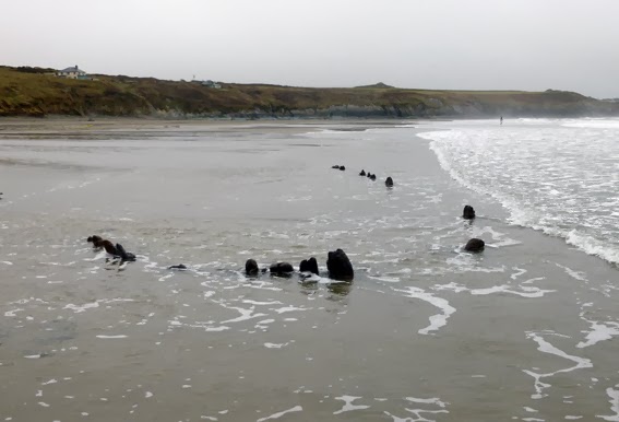 Special interest dating sites-in-Tolaga Bay