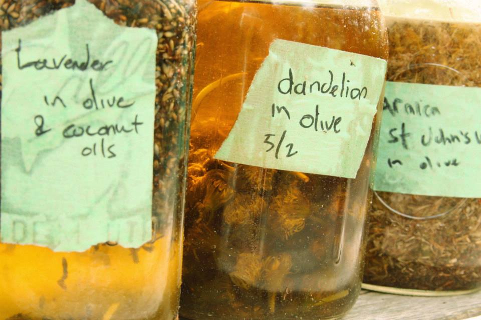 Wild Rose Apothecary July 2013