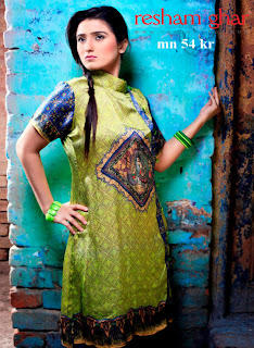 Women's Digital Kurties Collection 2013 By Resham Ghar