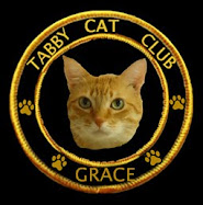 Tabby Cat Club