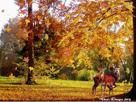 Image%20result%20for%20Cuối%20mùa%20thu