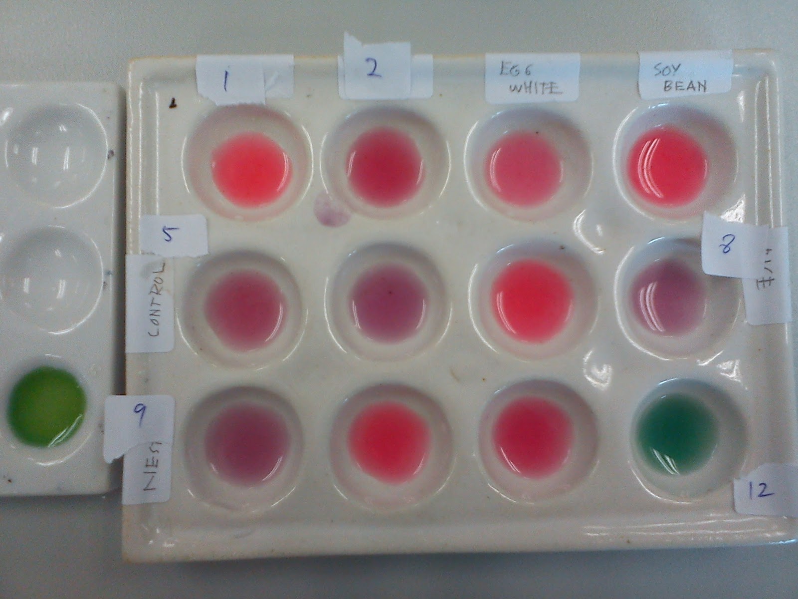 Natural pH Indicator Biochemistry