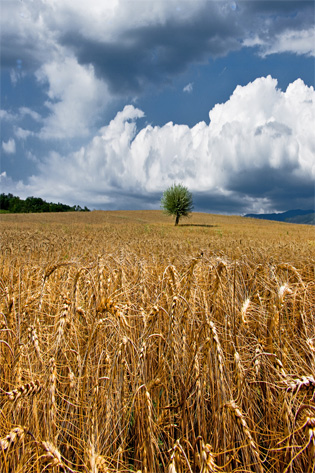 landscape-photography landscape photography tips