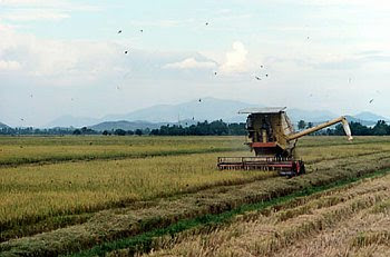 Combined Harvestor