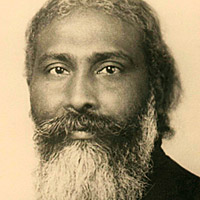 Metamorphosis November 2017