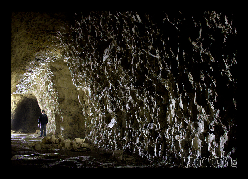 Lost and Found Chadwell Springs Chalk Mine, March 2012