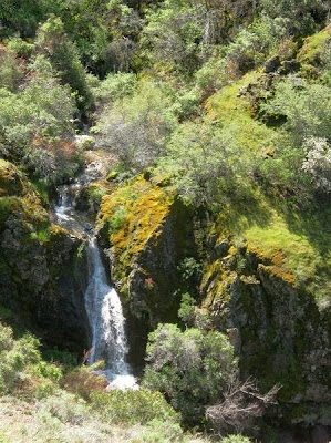 Mount Diablo State Park, Donner Canyon Waterfalls