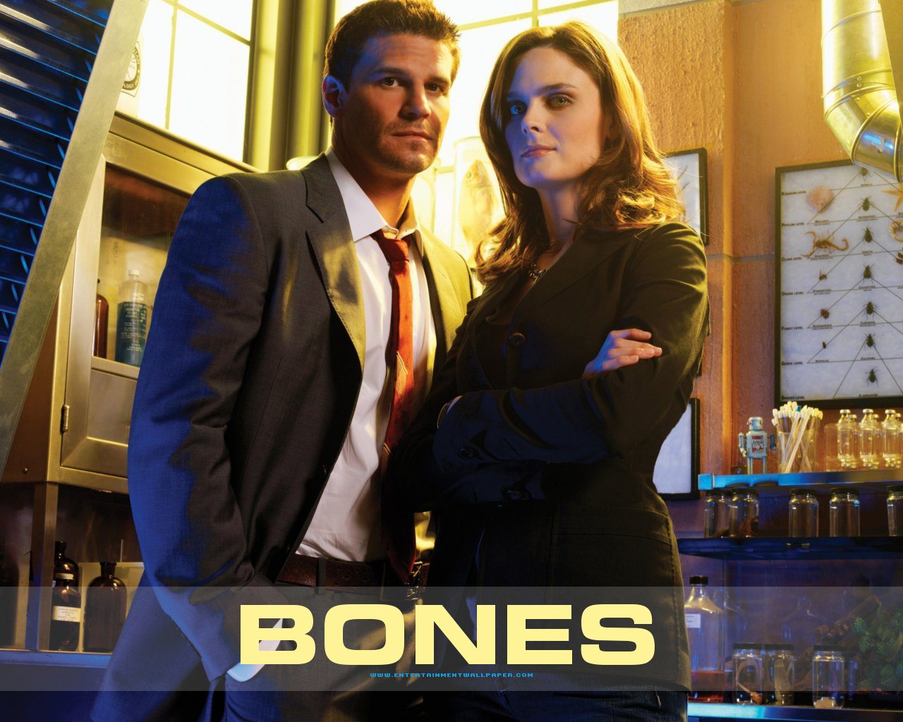 Bones Poster Gallery3 Tv Series Posters and Cast