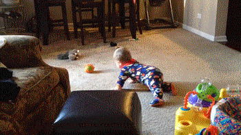Animals vs kids (40 gifs), animals being jerks gif, dog steals baby's ball