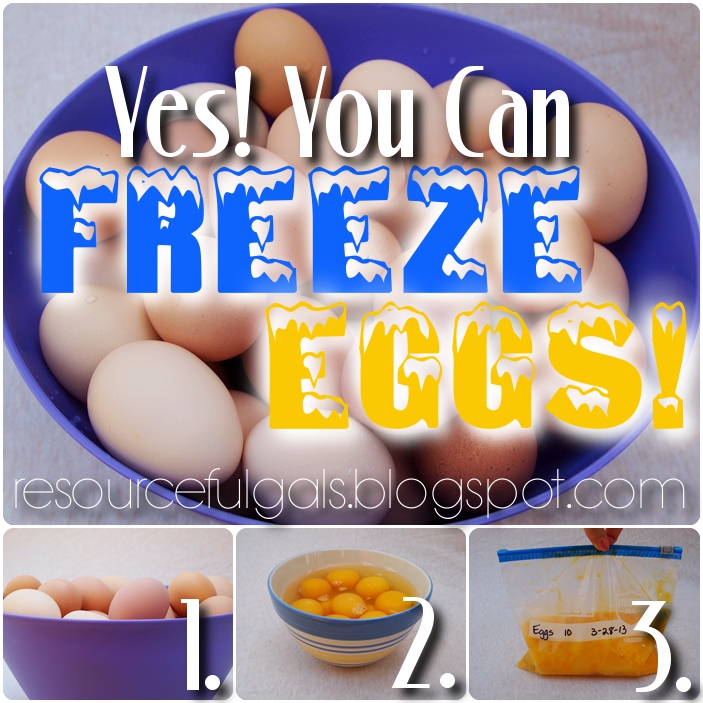 The Resourceful Gals Freeze Eggs? Yes, You Can!