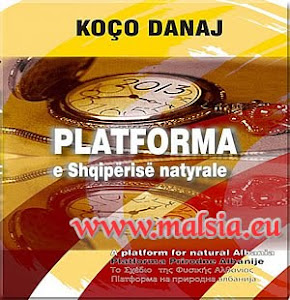 Platforma