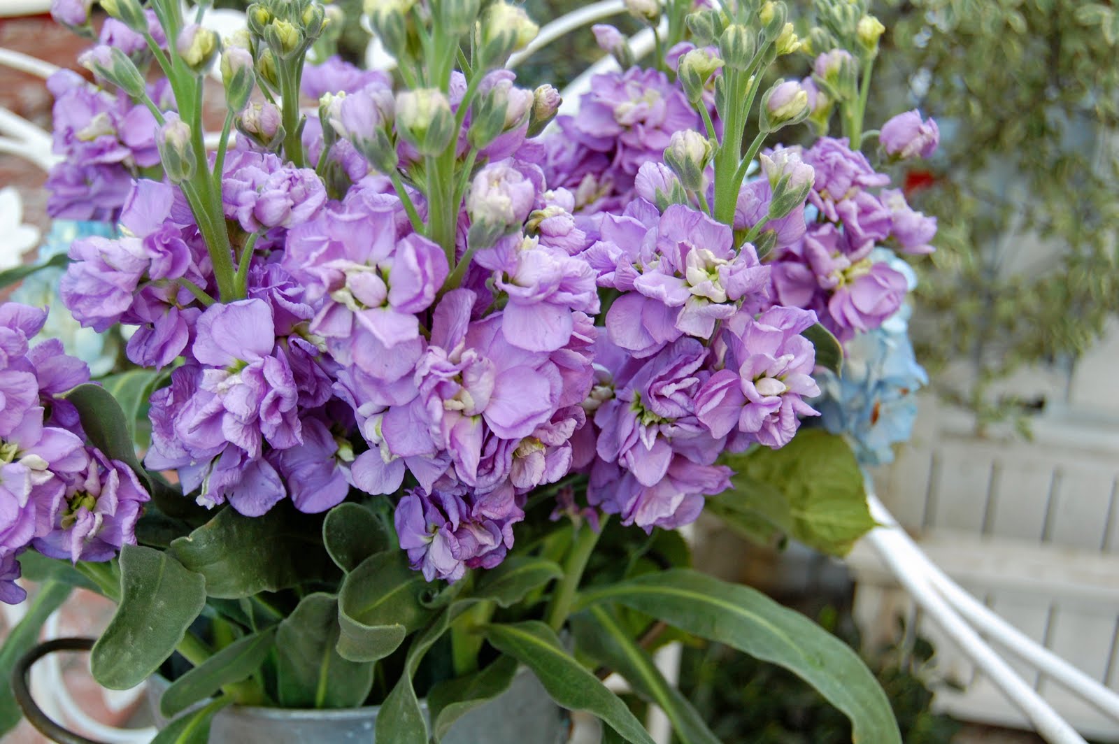 My Painted Garden Flower Shoppe Inspirations