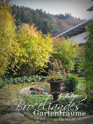 Broceliandes Gartenträume : ich hab 's dann doch noch getan....