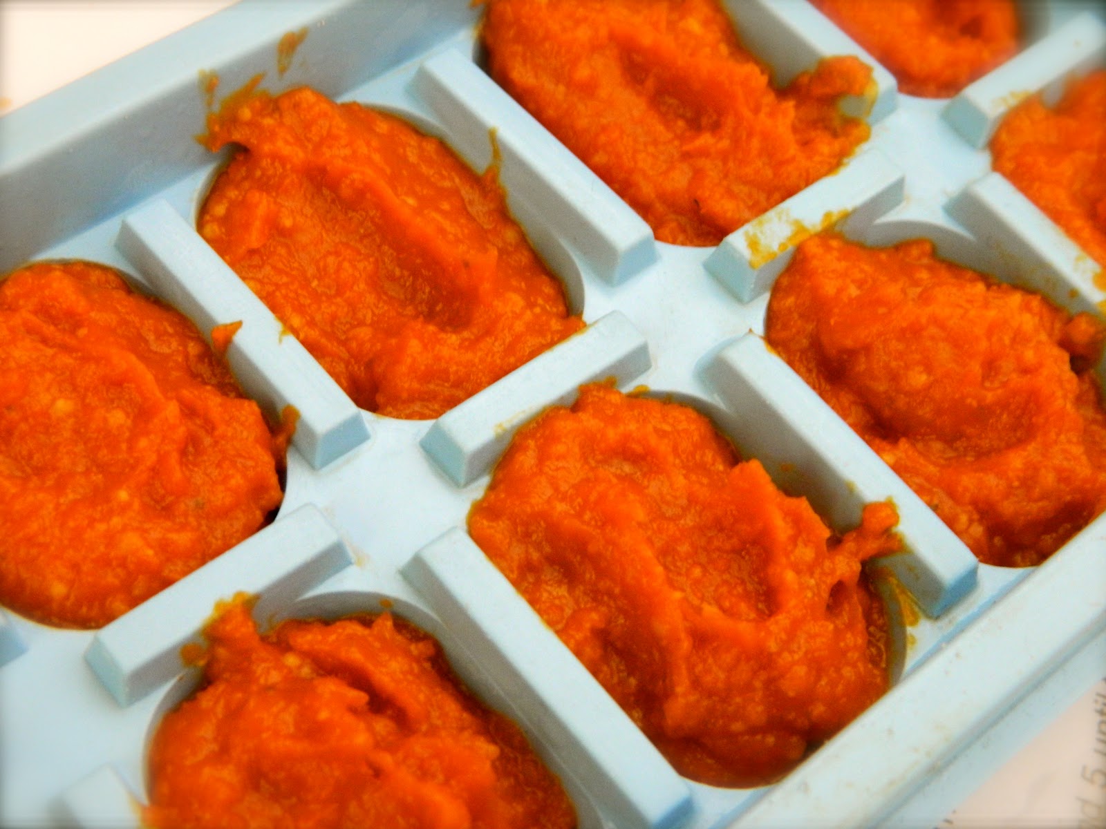 Dashes of Love Thermomix Tomato Paste