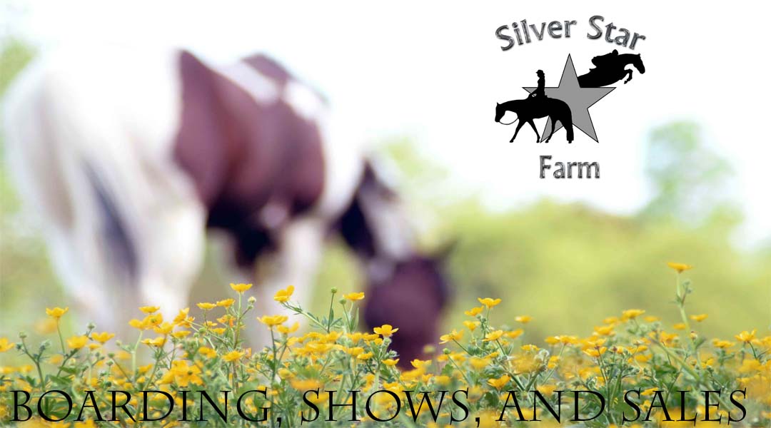 Silver Star Farm