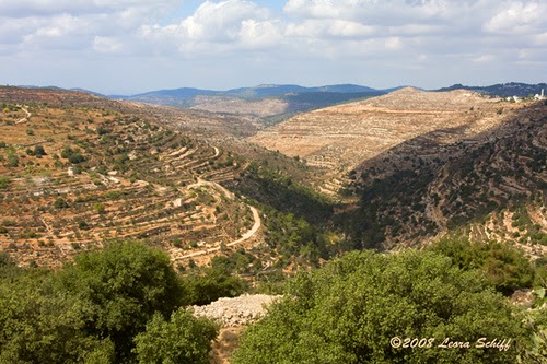 online corporations and online corporations