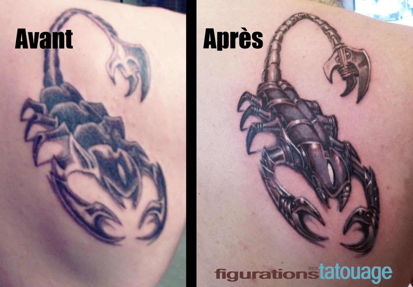 Catégorie Tatouages scorpions Image Scorpion