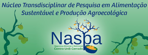 Acesse o Site do NASPA!