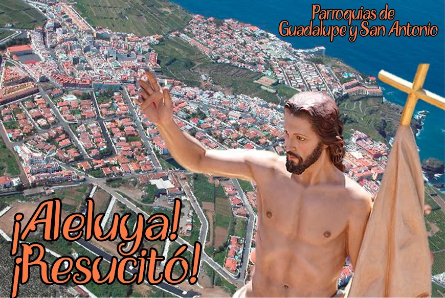 Resultado de imagen de ntra. Sra. de guadalupe. Los realejos
