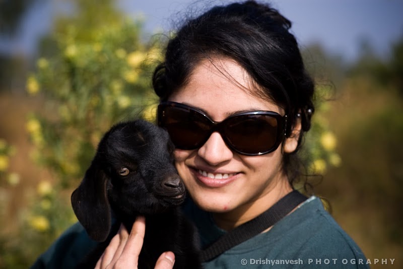 Animal Rights India: About Me