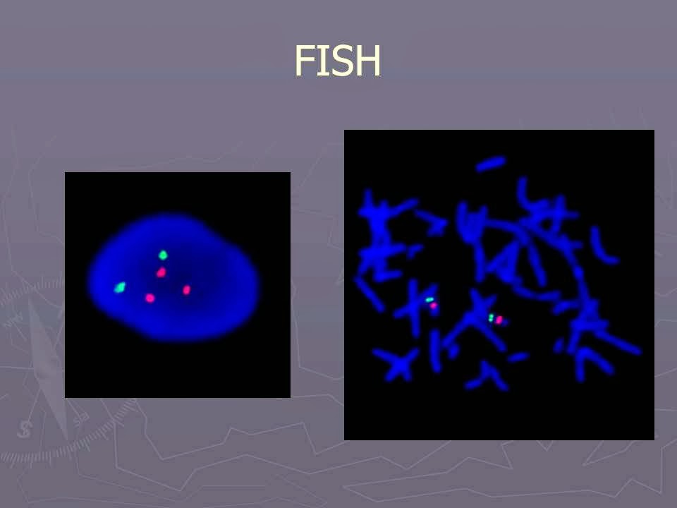 Slide 72