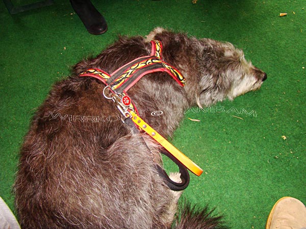 Segelflug News Seite 21 Von 21