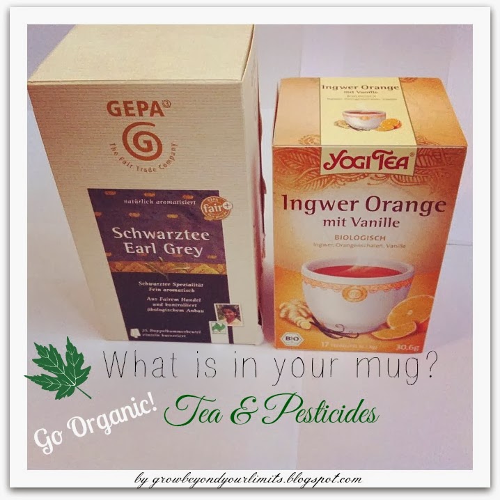 How to grow healthy, long and beautiful hair. Holistic and Natural